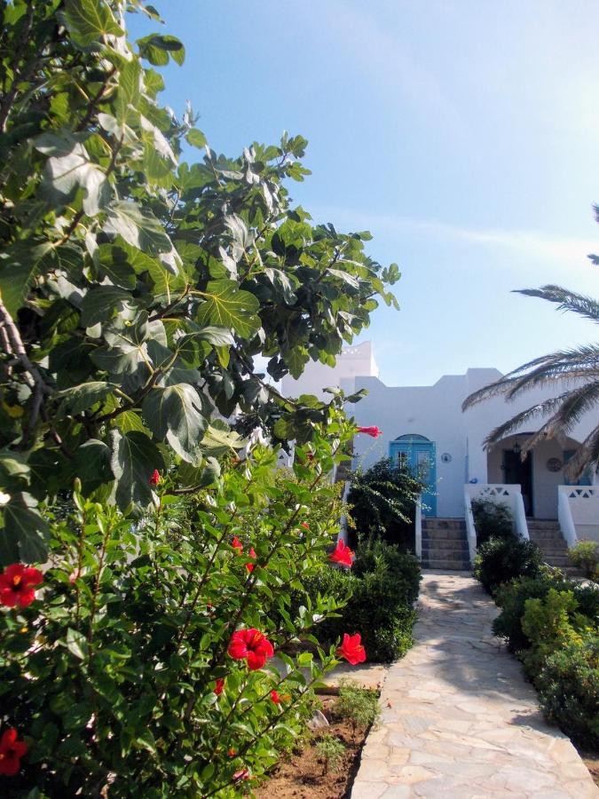 Nyfes Traditional Boutique Frosyni Skyros Exterior photo